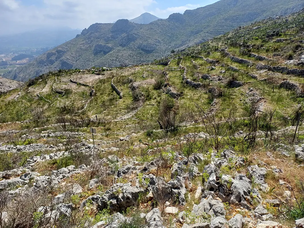 Marina Alta Landscape